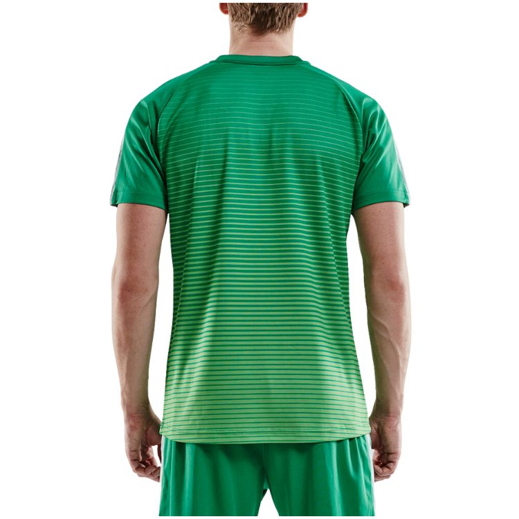 Craft T-Shirt Pro Control Stripe Jersey Herren Grün