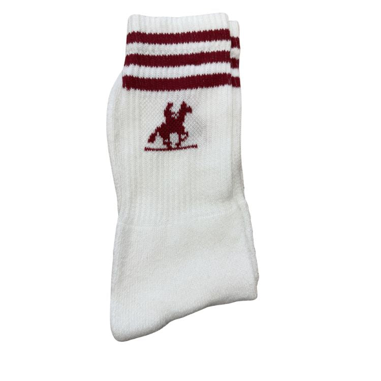 U.S. Grand Polo Sokken Heren 10-Pack Mix Zwart Wit Grijs