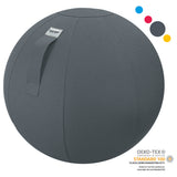Baenger Fitness Yogaball, Gymnastikball – inkl. waschbarem Bezug und Pumpe – Grau